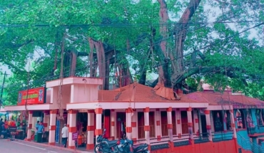 Online Teaching